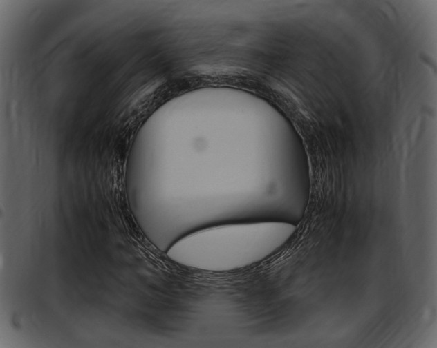 X0000097600966200802290728