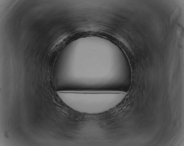 X0000097600967200802290728