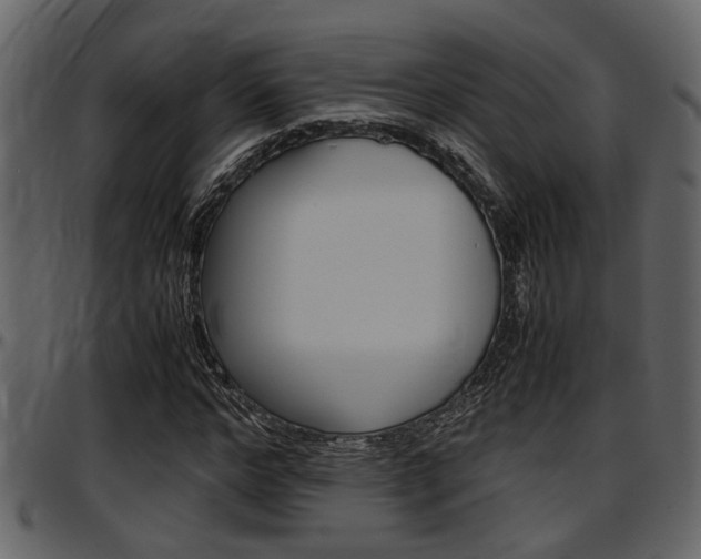 X0000097600968200802290728