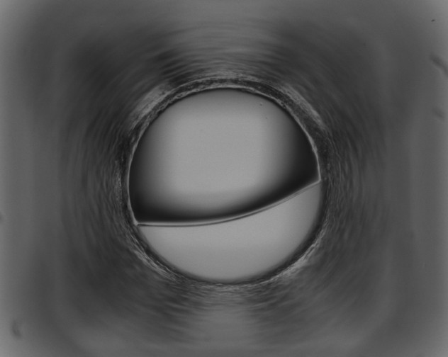 X0000097600969200802290728