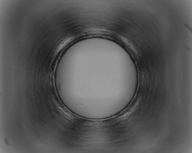 X0000097600970200802290728
