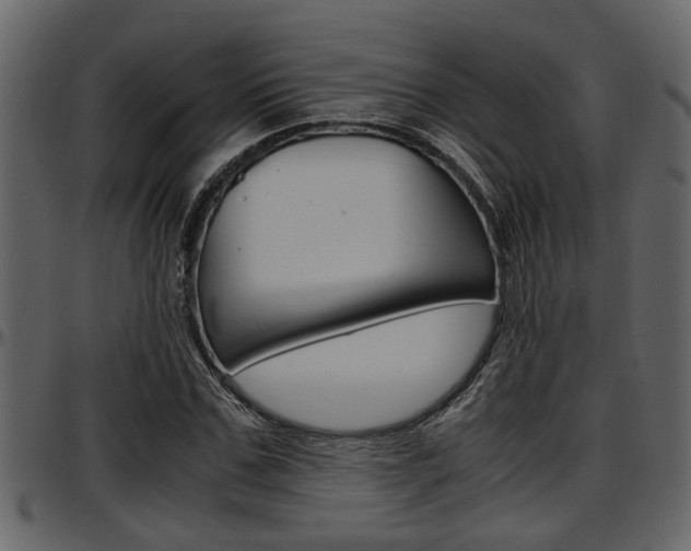 X0000097600971200802290728