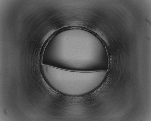 X0000097600972200802290728