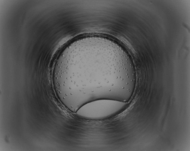 X0000097600974200802290728