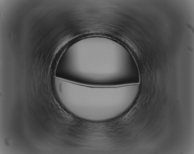 X0000097600975200802290728