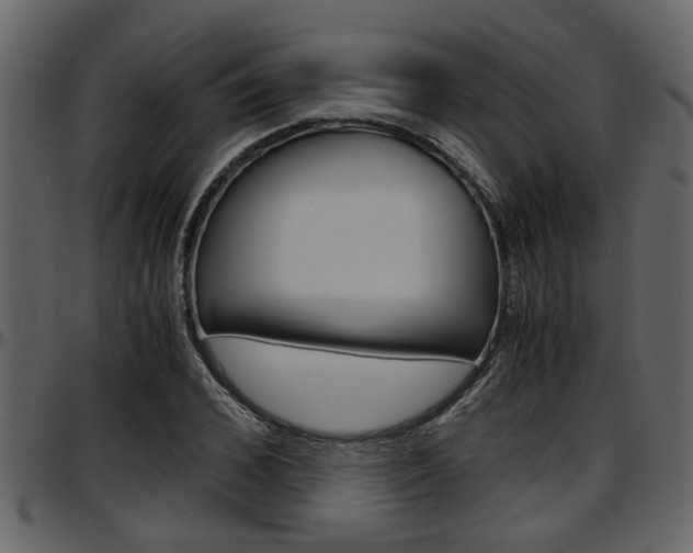 X0000097600976200802290728
