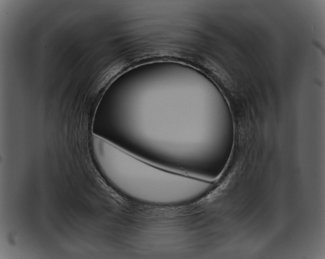 X0000097600977200802290728