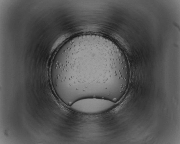 X0000097600978200802290728