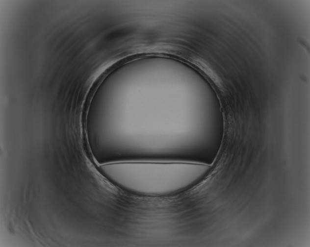 X0000097600980200802290728