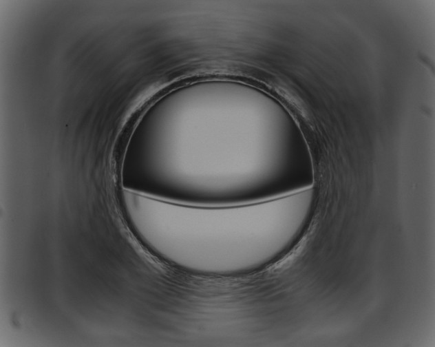 X0000097600981200802290728