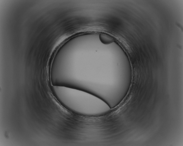 X0000097600982200802290728