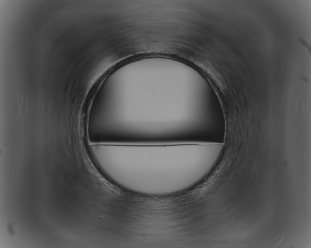 X0000097600983200802290728