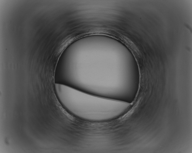 X0000097600985200802290728