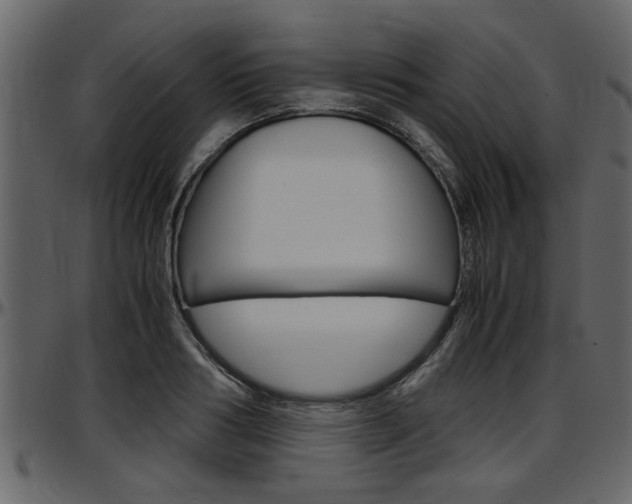 X0000097600986200802290727