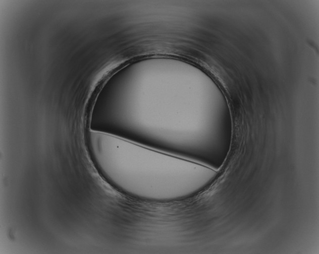 X0000097600987200802290727