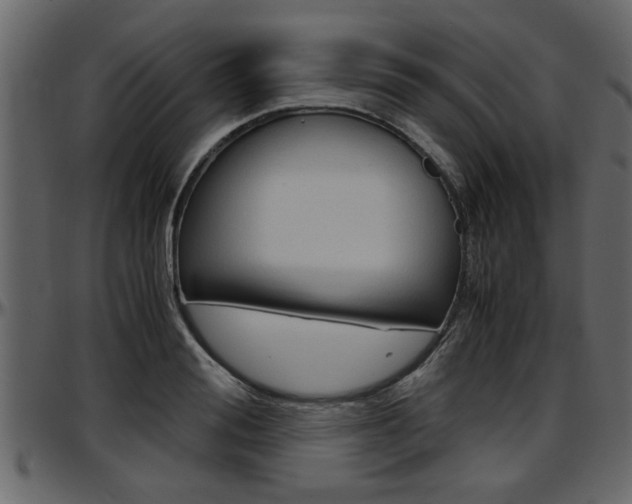 X0000097600988200802290727