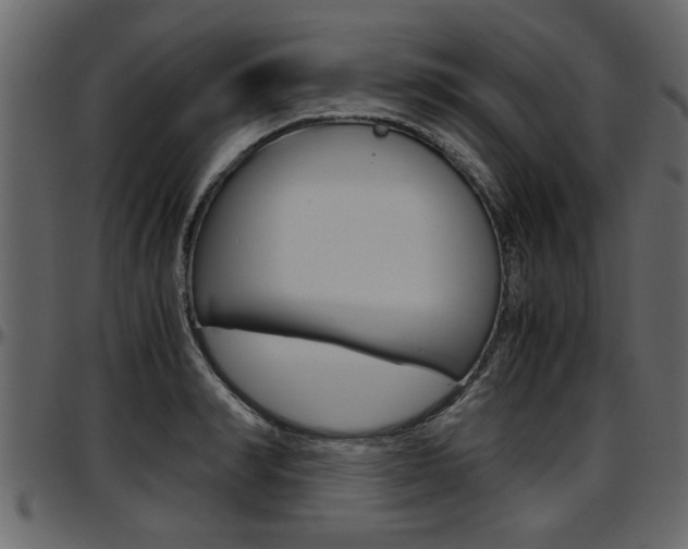 X0000097600990200802290727