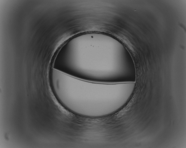 X0000097600991200802290727