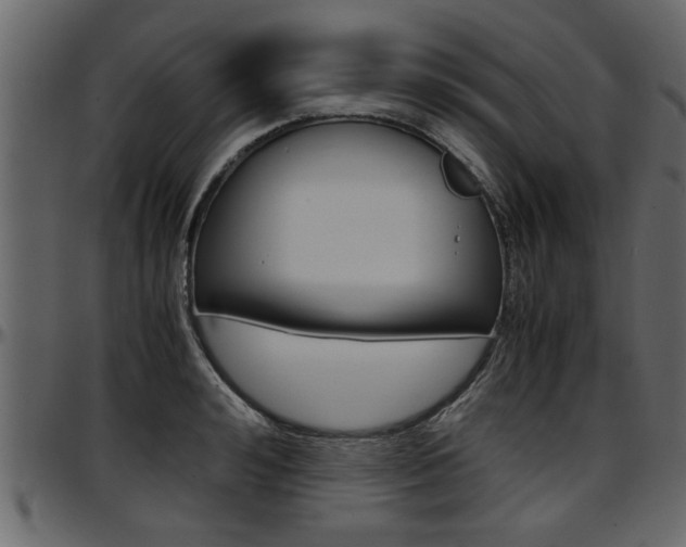 X0000097600992200802290727