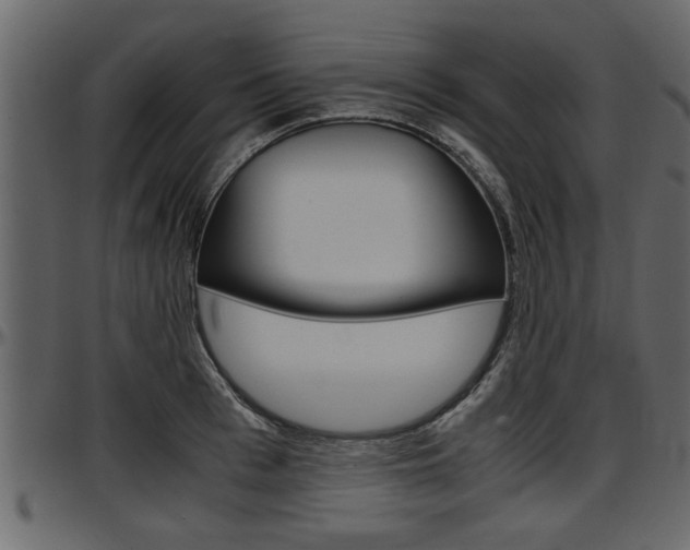 X0000097600993200802290727