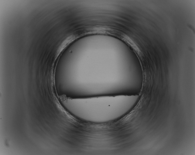 X0000097600994200802290727