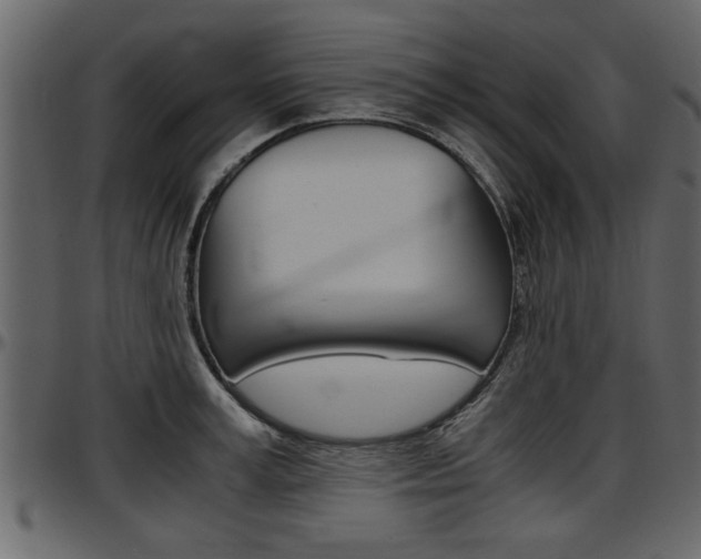 X0000097600995200802290727