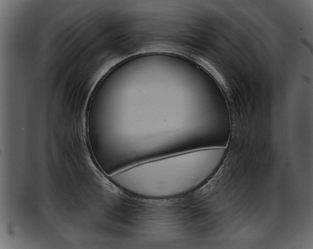 X0000097600996200802290727