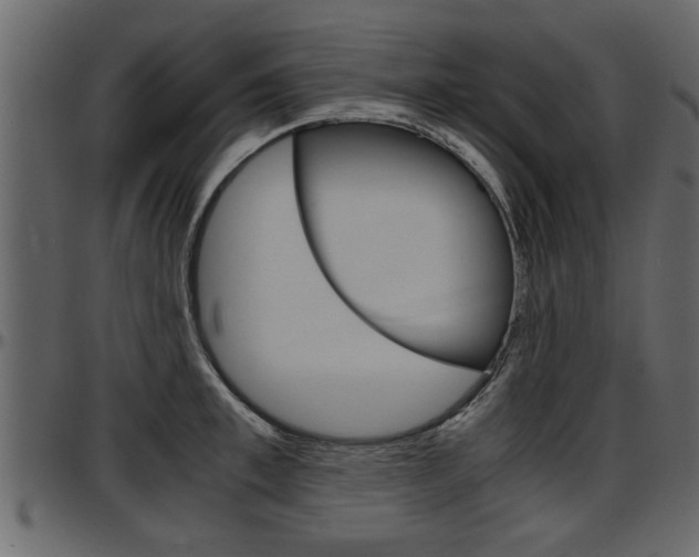 X0000097600997200802290727