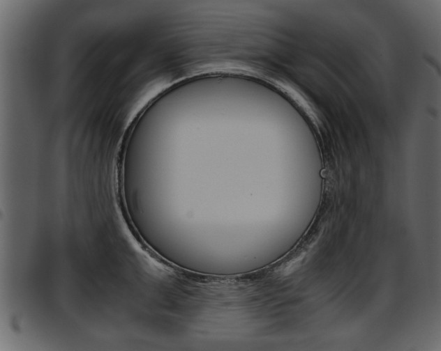 X0000097600999200802290727