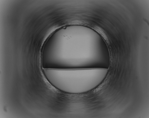 X0000097601000200802290727