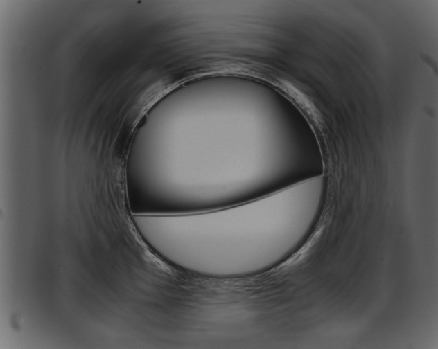 X0000097601001200802290727