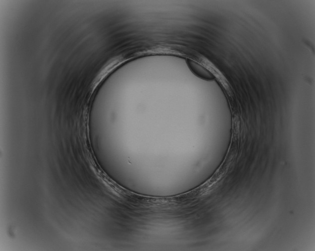 X0000097601002200802290727