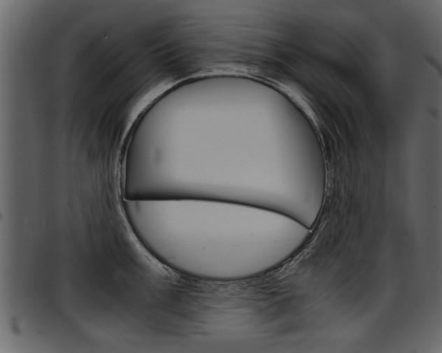 X0000097601003200802290727