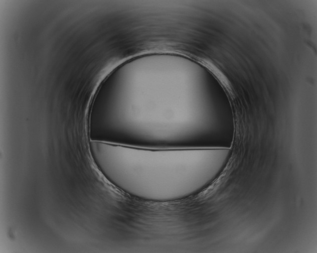 X0000097601004200802290727