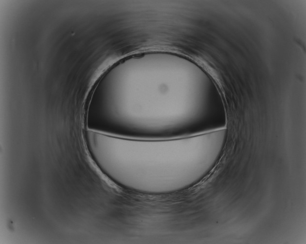 X0000097601005200802290727