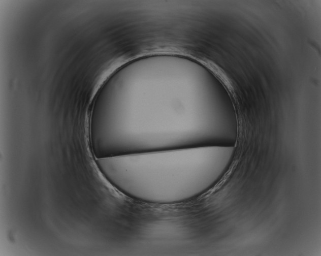 X0000097601006200802290727