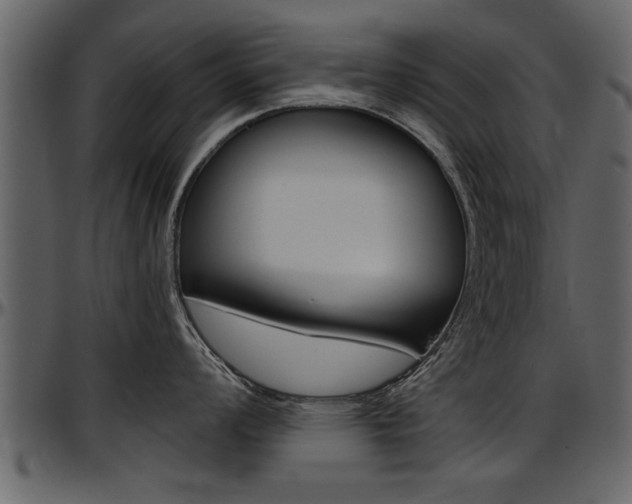 X0000097601008200802290727