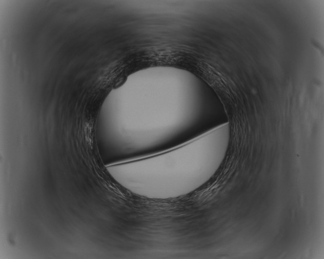 X0000097601010200802290726