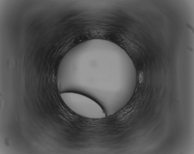X0000097601011200802290726