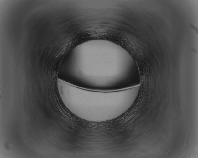 X0000097601012200802290726