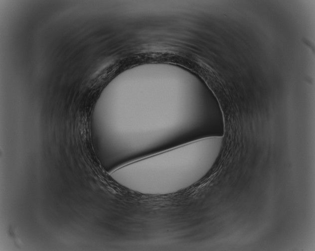X0000097601014200802290726