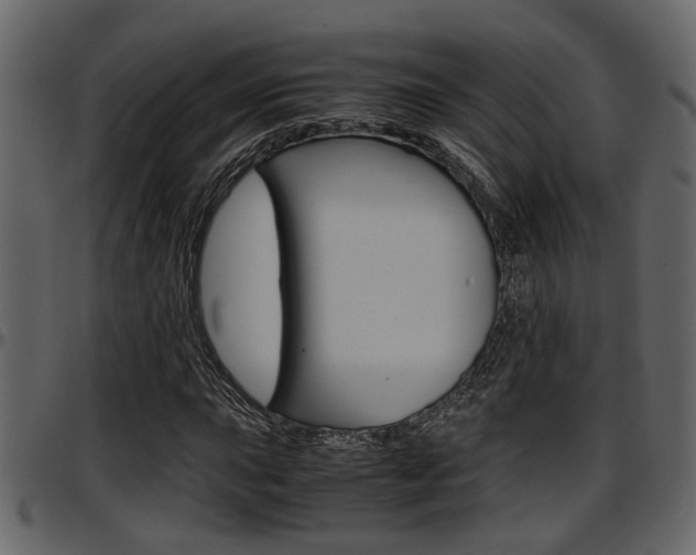 X0000097601015200802290726