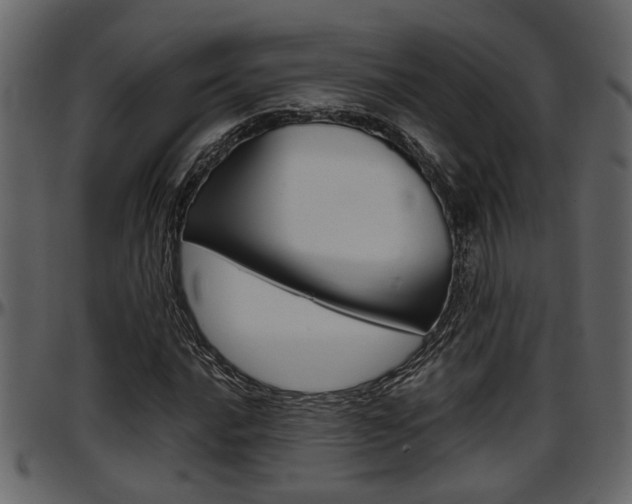 X0000097601016200802290726