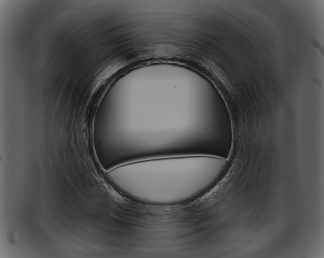 X0000097601018200802290726
