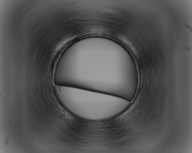 X0000097601019200802290726