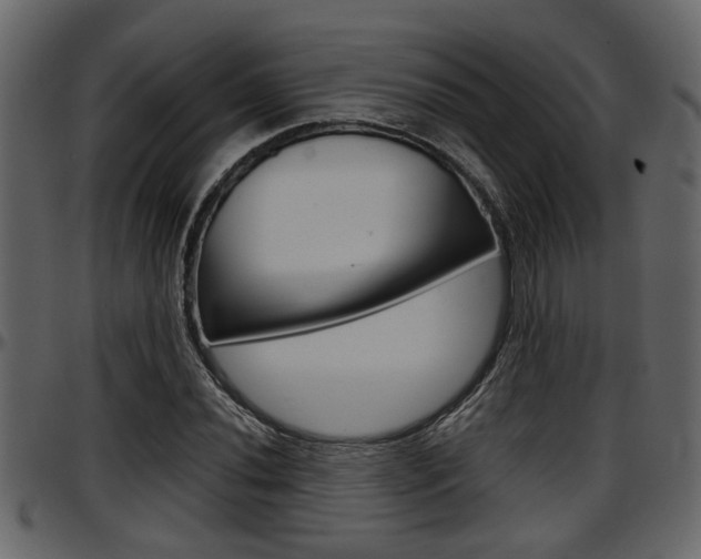 X0000097601020200802290726