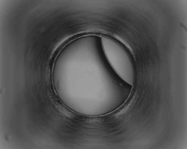 X0000097601021200802290726