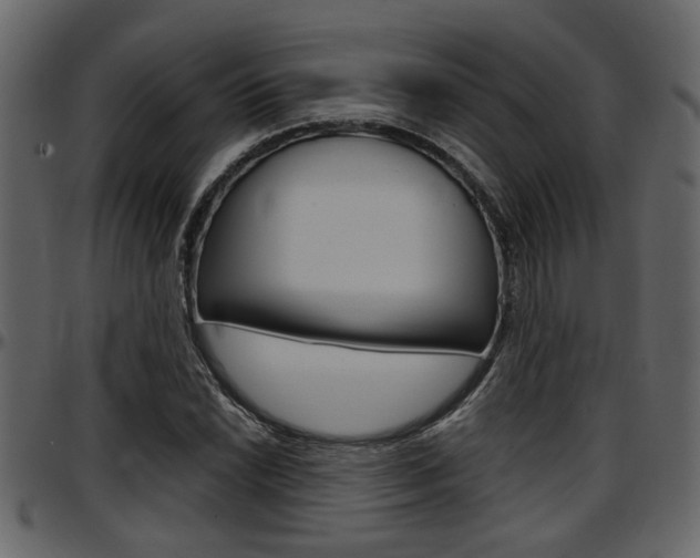 X0000097601022200802290726