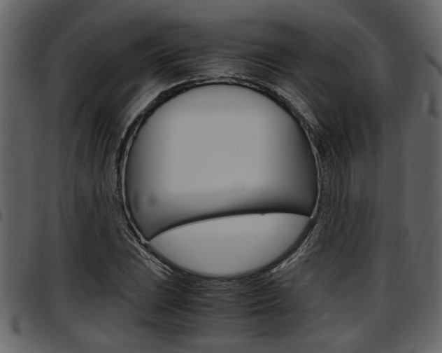 X0000097601023200802290726