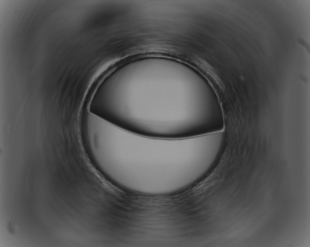 X0000097601024200802290726